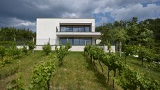 Vila ve vinohradu